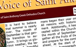 newsletterstanthony